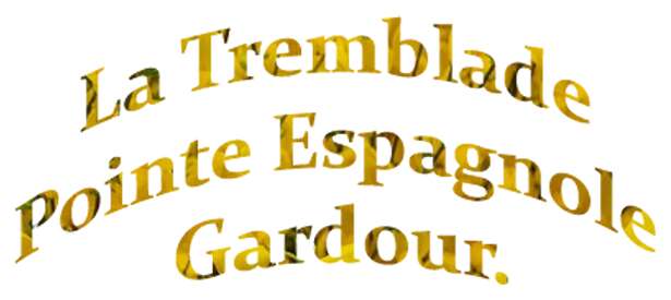 Marche du 07/04/2024 - La Tremblade - Pointe Espagnole - Gardour