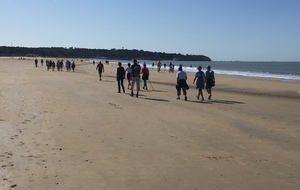 La marche  :  demandez le programme