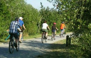 Sorties Cyclo-loisir - inscrivez vous dans l'équipe Cyclo-loisir 2020/2021