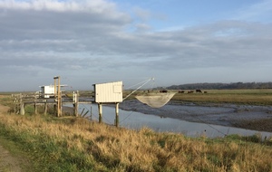 La Seudre à Saujon