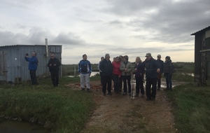 Marche du 29/01/2020 au départ de L’Eguille 
Parcours au départ du port de L’Eguille, la pointe du L’iman et la petite Eguille