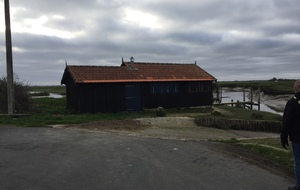 Cabane à Port Paradis