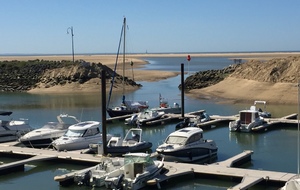 Le port de La Palmyre à marée basse