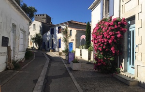 Marche dans les marais à Mornac sur Seudre 27/05/2020