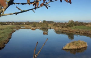 Marche du 24/10/2021 - Mornac - les Métairies - Plordonnier 