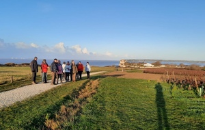Marche du 05/12/2021 - Barzan plage - Talmont - Le Fâ - Barzan 
Crédit photos: Pascal B.
