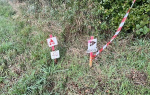 pas de chance, nous devions partager les chemins avec une randonnée de VTT !!!