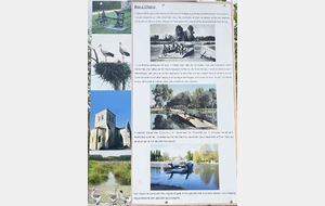 683c6a4a65019_imagepicker1D9453E2F88D4C7CA0F6181172C6F8D9111410000028AF4C1FDF1.jpg