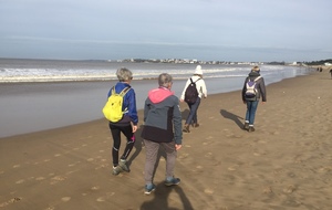 Marche du dimanche - Saint Georges de Didonne et les hauts de la forêt de Suzac