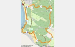 Marche rapide - sur inscription uniquement - Saint Georges de Didonne / la forêt de Suzac