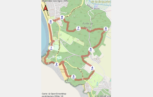 Marche rapide - sur inscription uniquement - Saint Georges de Didonne / la forêt de Suzac