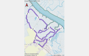 Marche du dimanche - sur inscription uniquement - Mornac sur Seudre