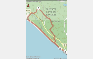 Marche rapide / sportive - sur inscription uniquement - St Palais - Le Petit Poucet - Grande Côte