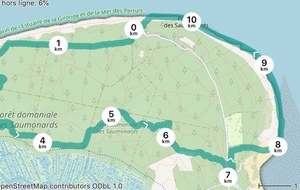 Marche du dimanche - sur inscription uniquement - Boyardville + piquenique