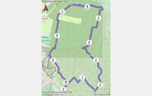 Marche rapide / sportive du mercredi - sur inscription uniquement - La Palmyre - Hippodrome - Forêt de la Coubre