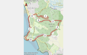 marche rapide / sportive du mercredi - sur inscription uniquement - St Georges de Didonne - pointe de Suzac