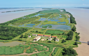 Sortie à la journée à Blaye