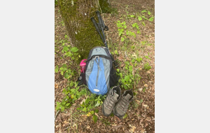 marche du dimanche - La Tremblade - La Bouverie - GR4 - Tranchée de Vermont