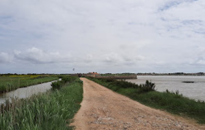 Rando à la journée - Fouras - St Laurent de la Prée