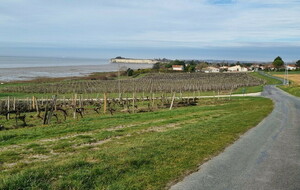 Randonnée pédestre à la journée - Arces vers l'estuaire de la Gironde