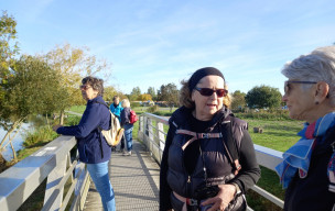 Marche du 01/10/2025 - Saujon - Port Ribérou - Seudre douce