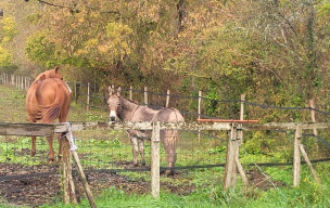 marche du 22/10/2025 - Breuillet - La Prade - Chalezac - Rougeassier - Grallet