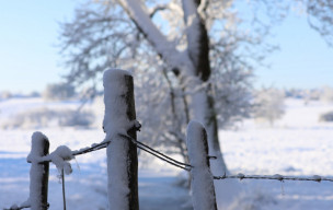 Neige à Breuillet - 06/01/2026