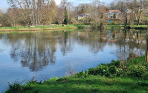 marche du 22/02/2026 - St Césaire - St Sauvant
