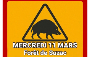 Marche du 11 mars 2026 - St Georges de Didonne