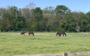 marche du 12/04/2026 - Arvert - Presqu'Ile