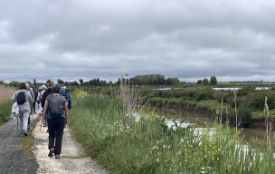 marche du 15/04/2026 - St Just Luzac - Pas de la Vache - Le Petit Gemeux