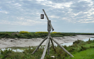 marche du 26/04/2026 - Mornac - Plordonnier - Les 2 taillées
