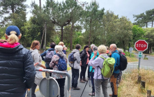 marche du 06/05/2026 - La Tremblade - Phare de la Coubre - Chemin Passe Lisse - Canton Bréjat