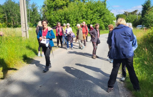 marche du 13/05/2026 - Breuillet - Les Combes - Chalezac