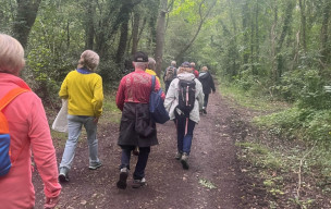 Marche du 17/05/2026 - Marennes (Plage) - Nodes - La Chainade