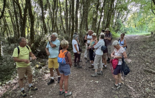 marche du 14/06/2026 - Thenac - Chermignac