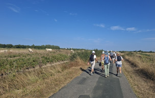 Randonnée à la journée du 24/07/2026 à Rochefort - Soubise