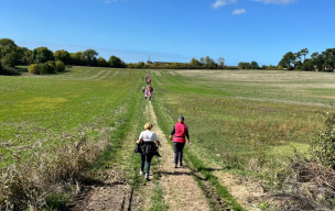marche du 10/10/2026 - Breuillet - Marche solidaire octobre rose