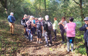 marche du 28/10/2026 - La Tremblade (Mus de Loup) - Ronce les Bains - Les Roseaux