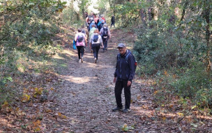 marche du 28/10/2026 - La Tremblade (Mus de Loup) - Ronce les Bains - Les Roseaux