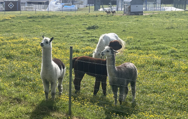 marche du 22/04/2026 - St Augustin - Papericaud - Charosson