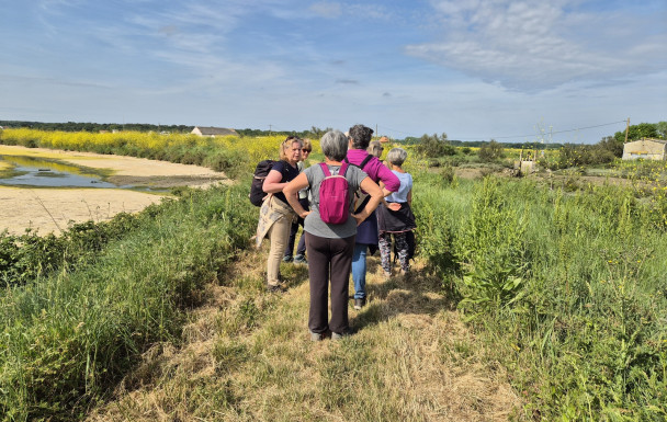 marche du 26/04/2026 - Mornac - Plordonnier - Les 2 taillées